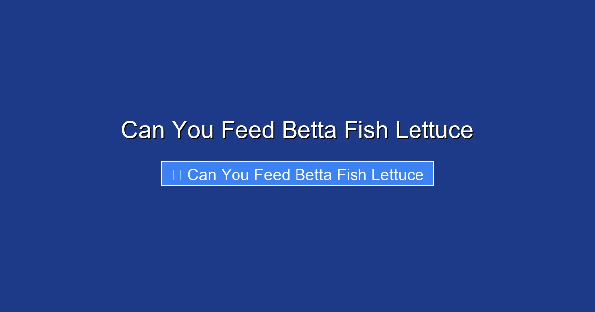 Can You Feed Betta Fish Lettuce