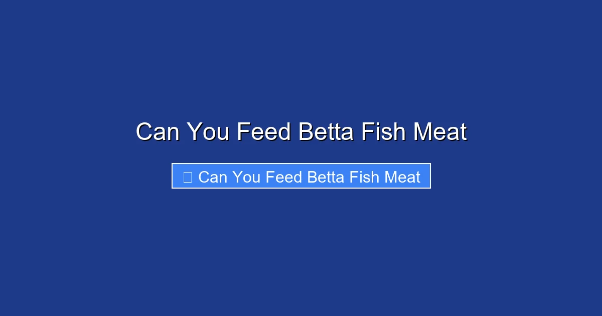 Can You Feed Betta Fish Meat