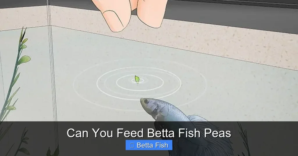 Can You Feed Betta Fish Peas