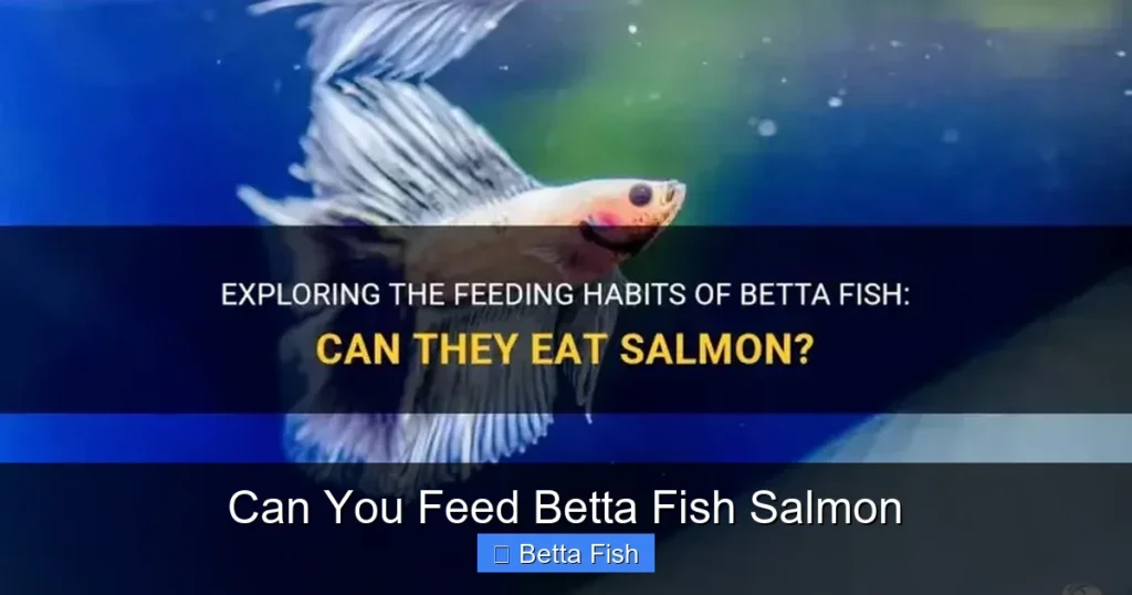 Can You Feed Betta Fish Salmon