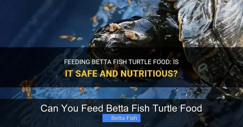 Can You Feed Betta Fish Turtle Food