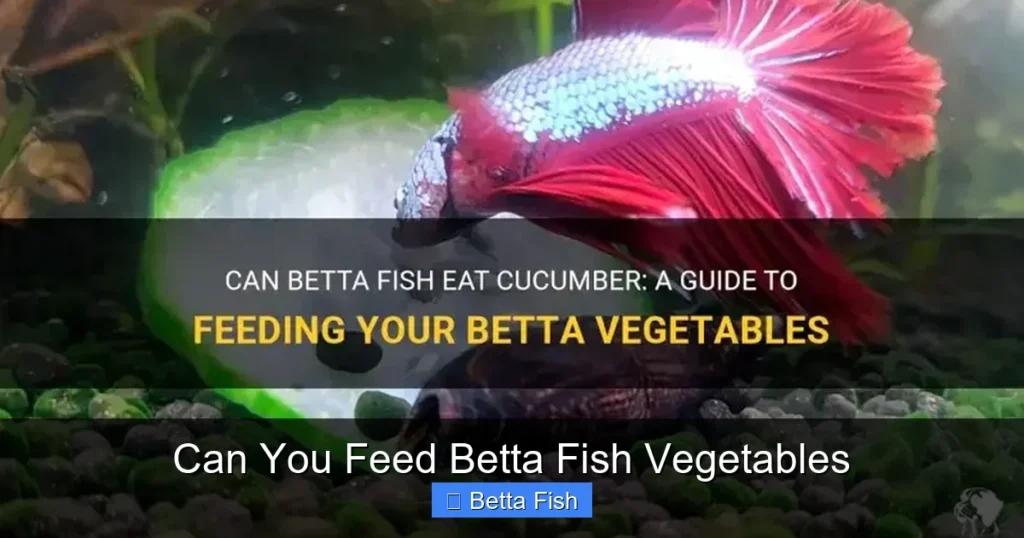 Can You Feed Betta Fish Vegetables