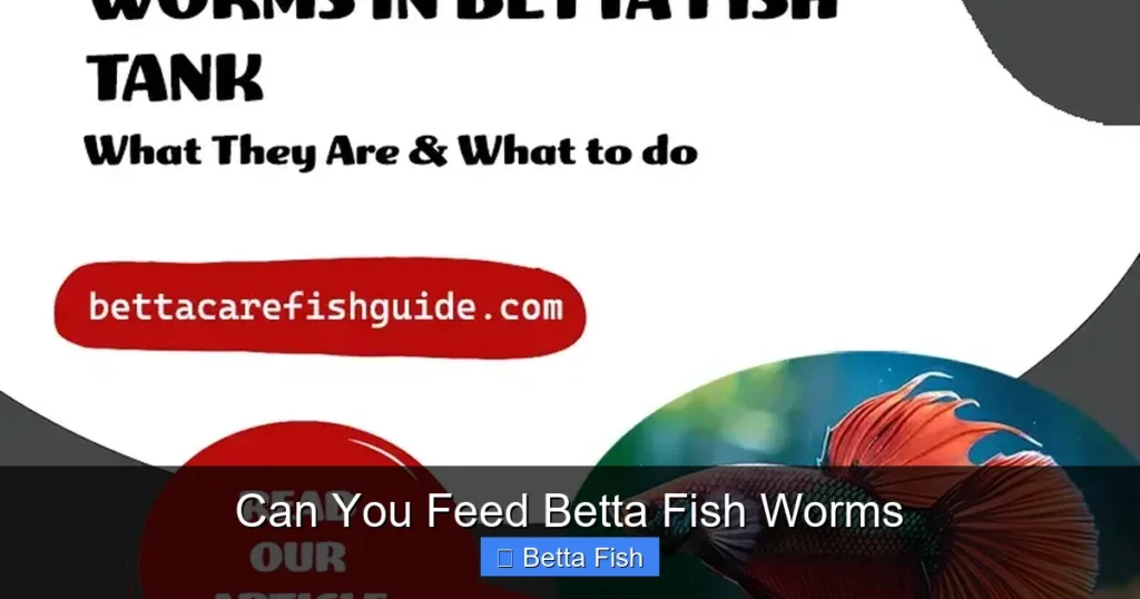 Can You Feed Betta Fish Worms