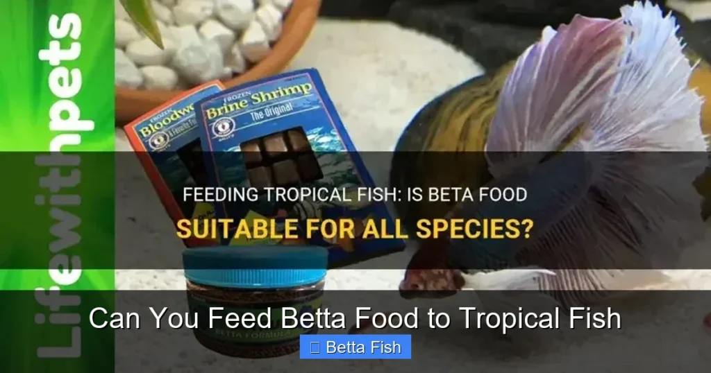 Can You Feed Betta Food to Tropical Fish