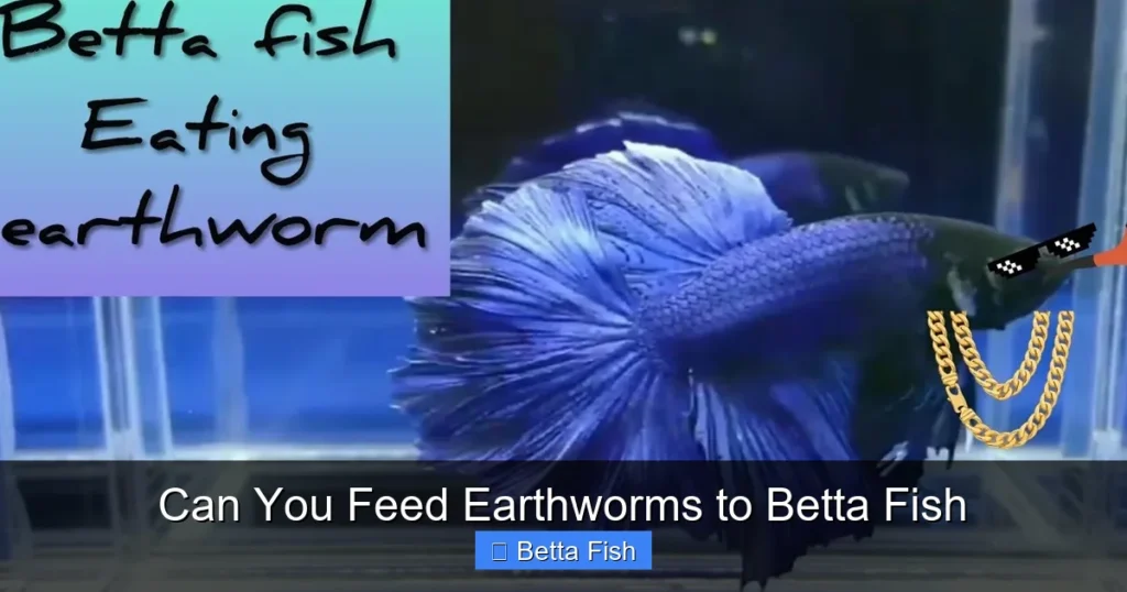 Can You Feed Earthworms to Betta Fish