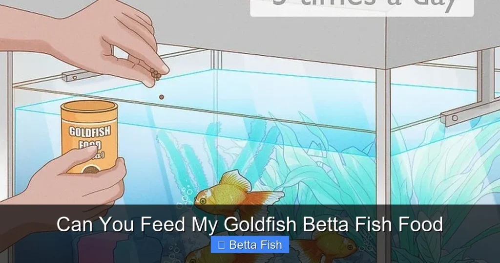Can You Feed My Goldfish Betta Fish Food