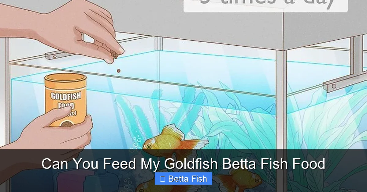 Can You Feed My Goldfish Betta Fish Food