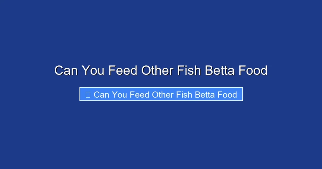 Can You Feed Other Fish Betta Food