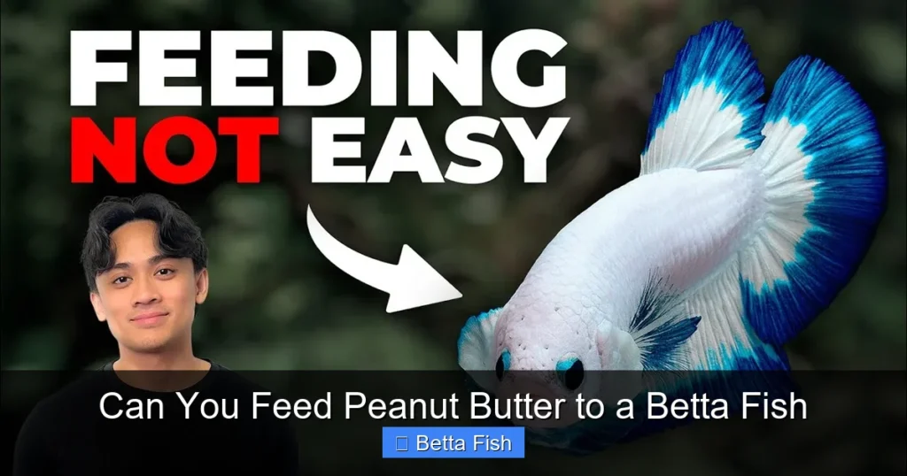 Can You Feed Peanut Butter to a Betta Fish