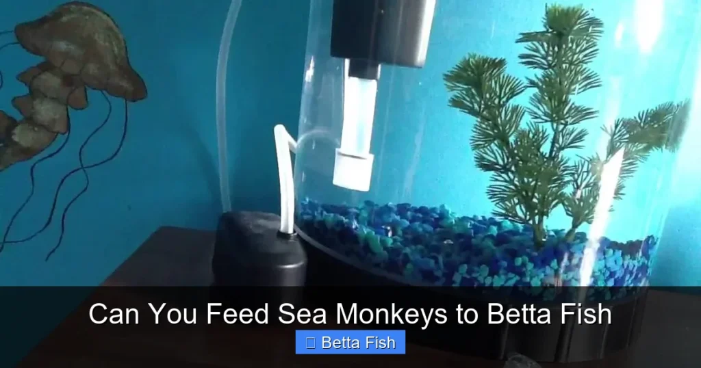 Can You Feed Sea Monkeys to Betta Fish