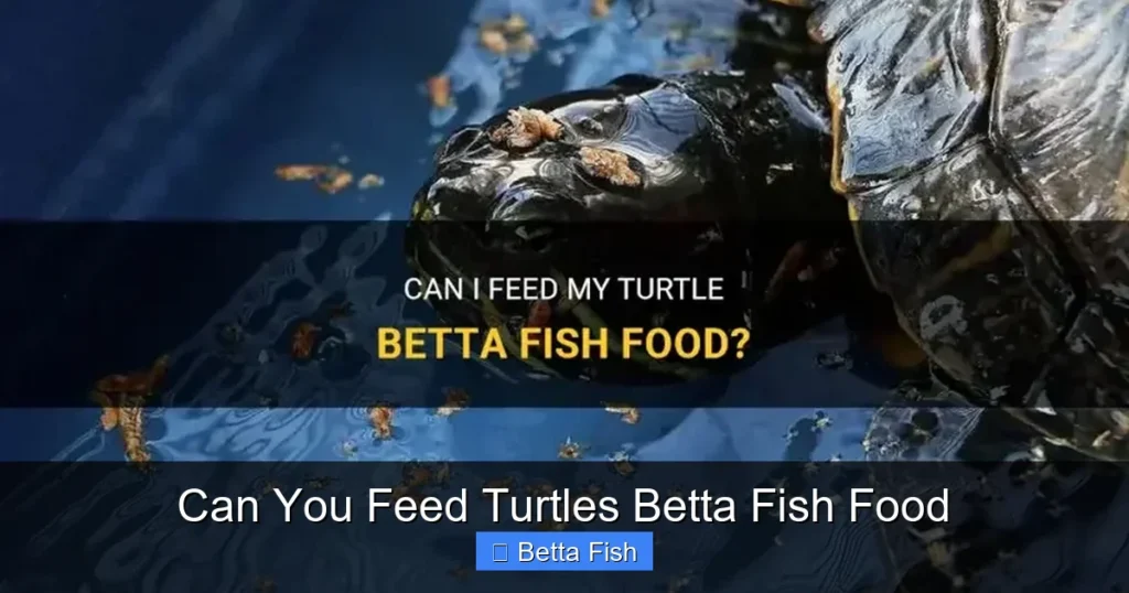 Can You Feed Turtles Betta Fish Food