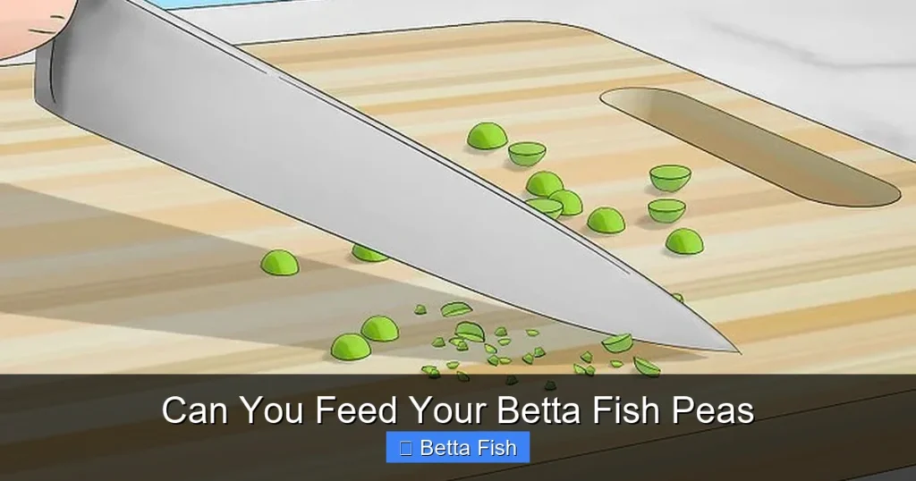 Can You Feed Your Betta Fish Peas