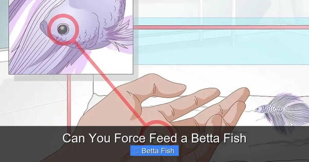 Can You Force Feed a Betta Fish