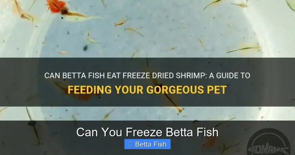 Can You Freeze Betta Fish