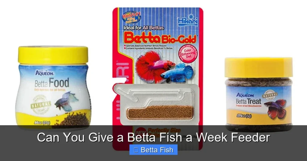 Can You Give a Betta Fish a Week Feeder