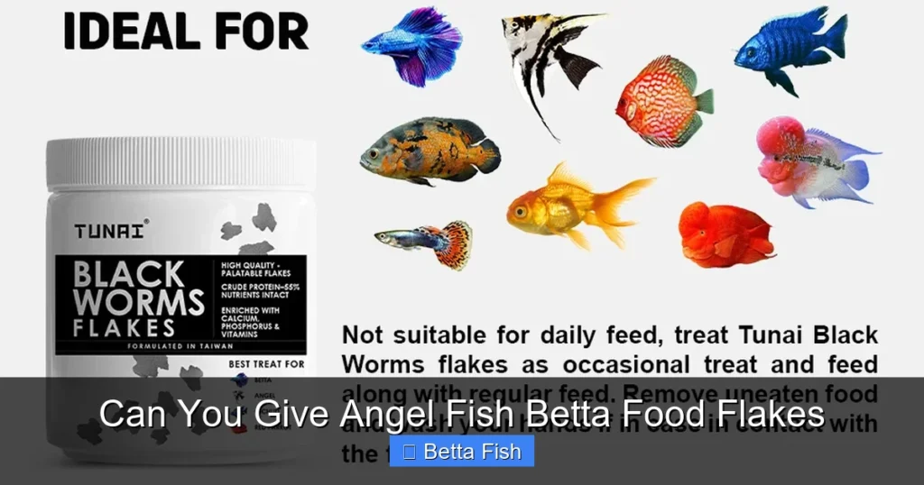 Can You Give Angel Fish Betta Food Flakes