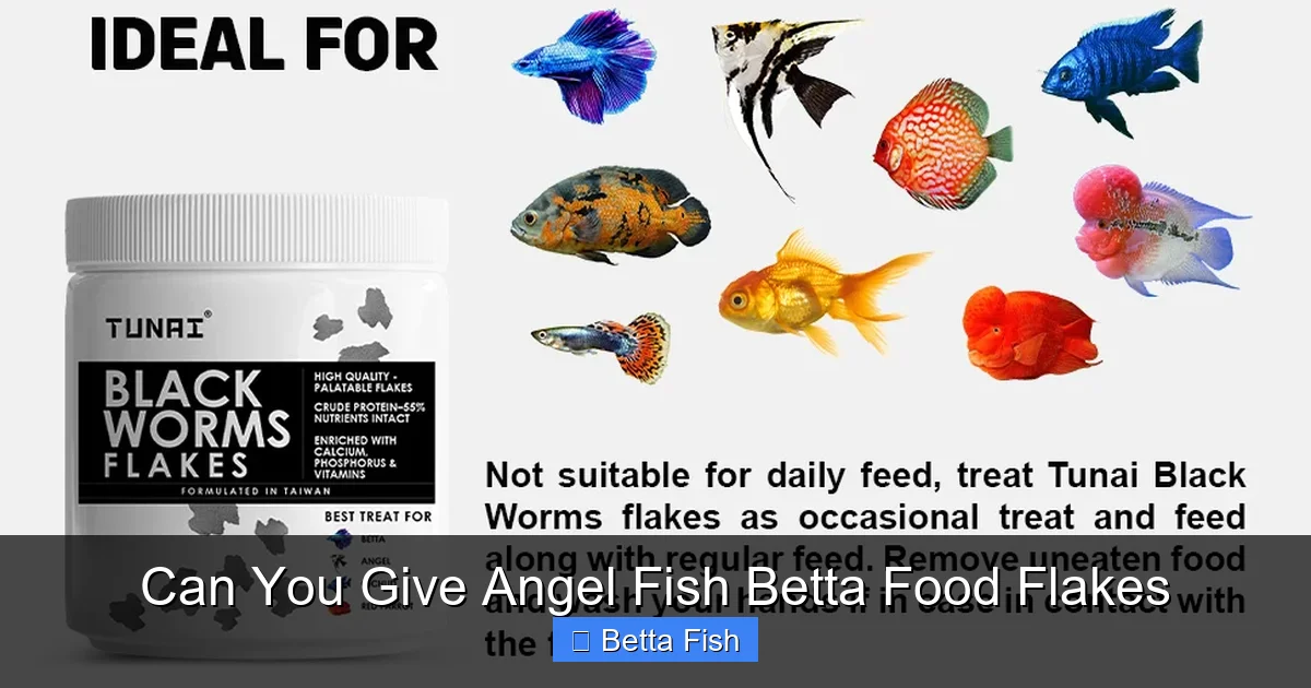Can You Give Angel Fish Betta Food Flakes