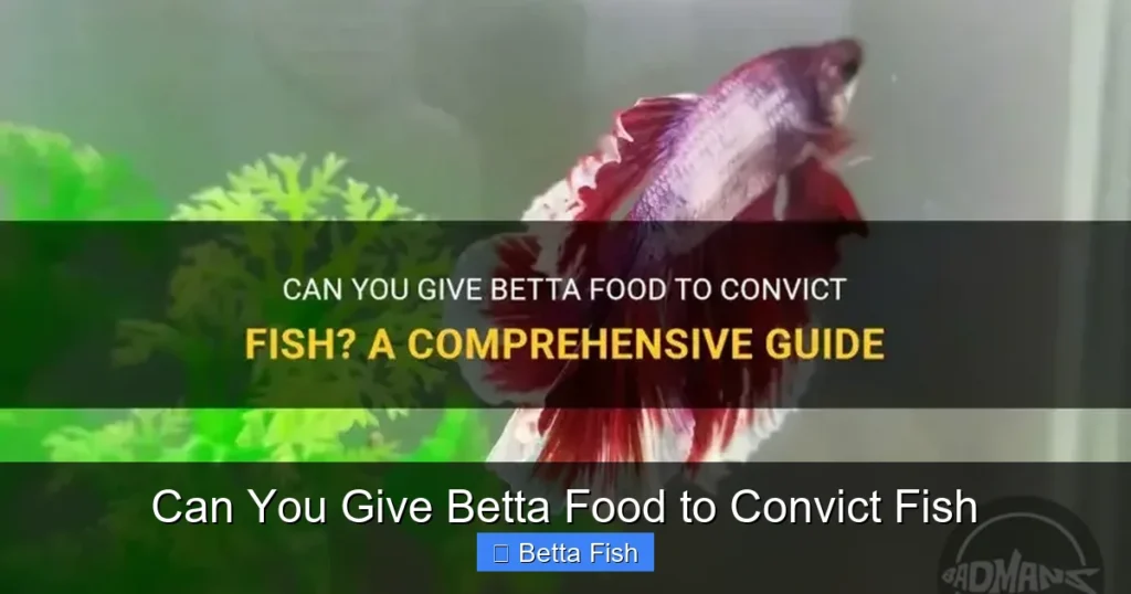 Can You Give Betta Food to Convict Fish