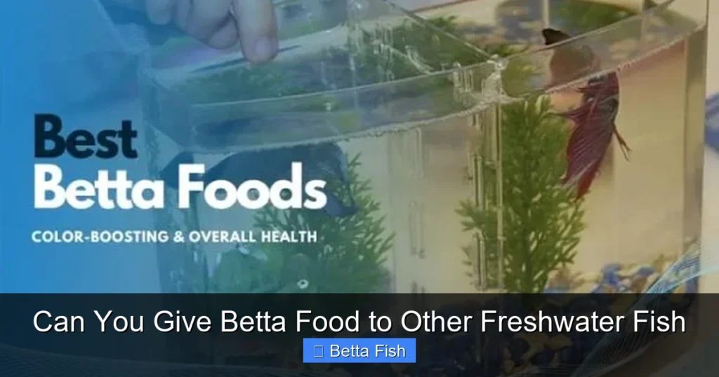 Can You Give Betta Food to Other Freshwater Fish