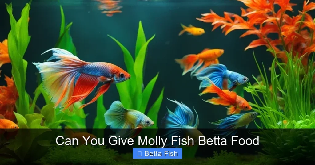 Can You Give Molly Fish Betta Food