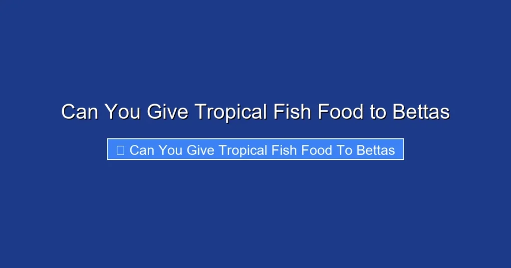 Can You Give Tropical Fish Food to Bettas