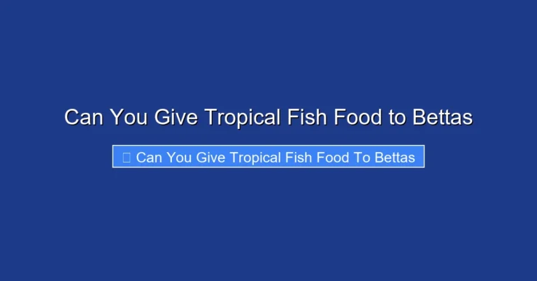 Can You Give Tropical Fish Food to Bettas