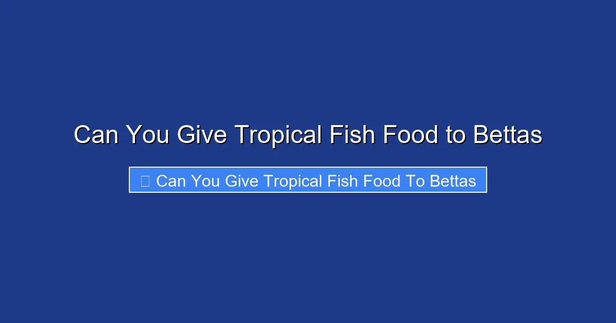 Can You Give Tropical Fish Food to Bettas