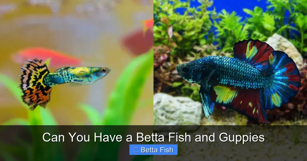 Can You Have a Betta Fish and Guppies
