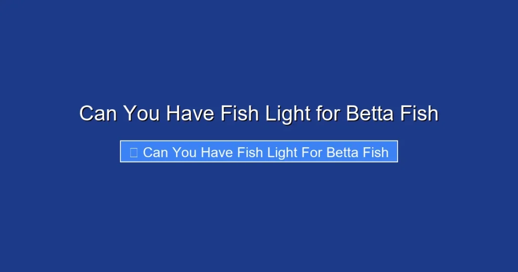 Can You Have Fish Light for Betta Fish