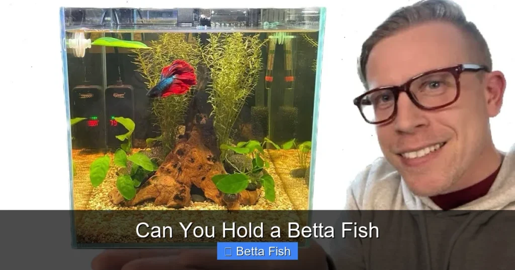 Can You Hold a Betta Fish