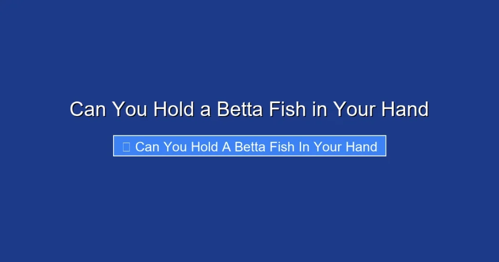 Can You Hold a Betta Fish in Your Hand