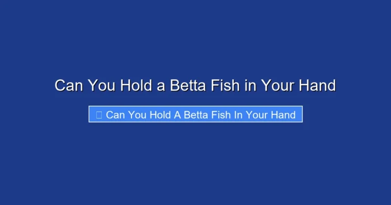 Can You Hold a Betta Fish in Your Hand