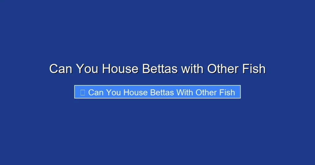 Can You House Bettas with Other Fish