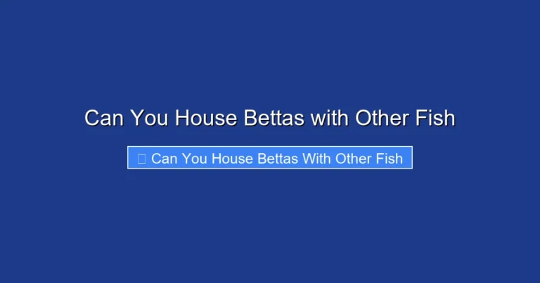 Can You House Bettas with Other Fish