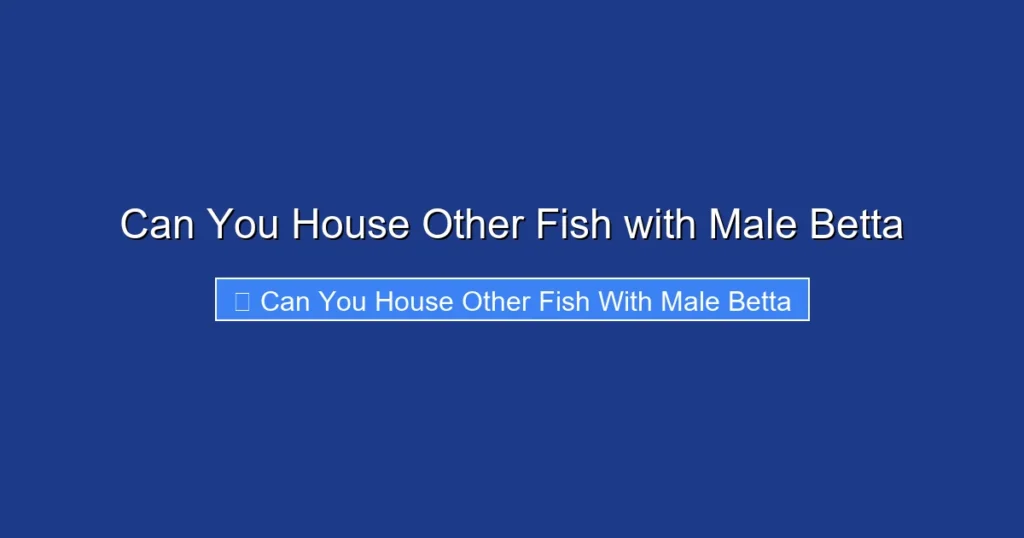 Can You House Other Fish with Male Betta