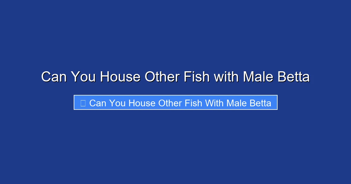 Can You House Other Fish with Male Betta