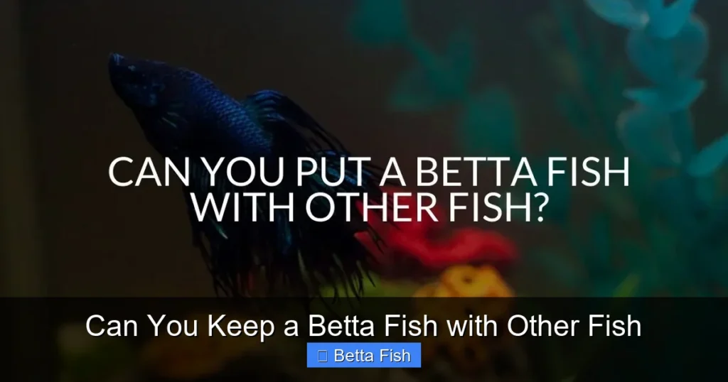 Can You Keep a Betta Fish with Other Fish