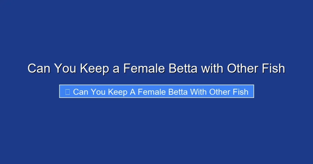 Can You Keep a Female Betta with Other Fish