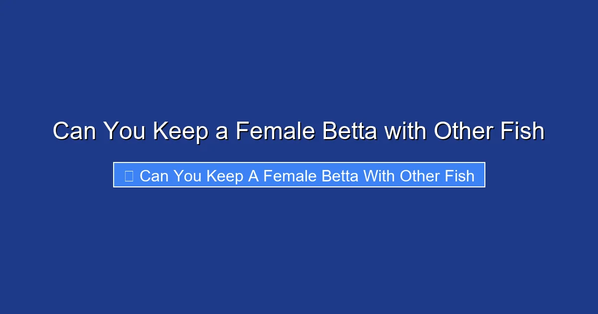 Can You Keep a Female Betta with Other Fish