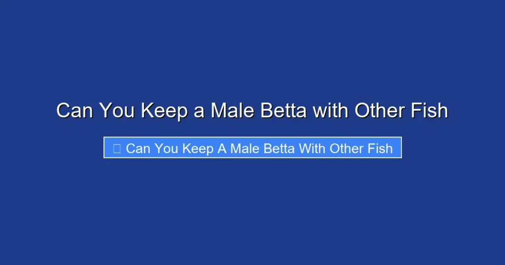 Can You Keep a Male Betta with Other Fish