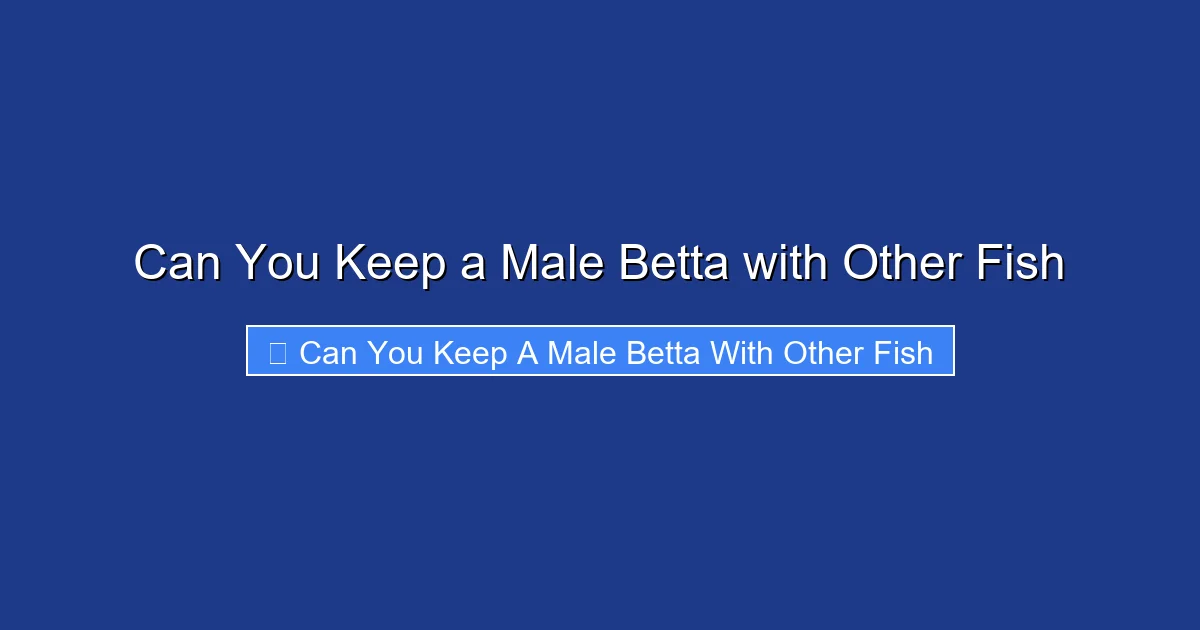 Can You Keep a Male Betta with Other Fish