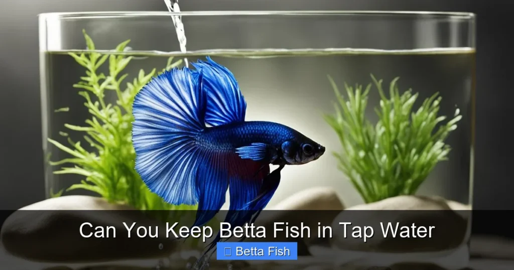Can You Keep Betta Fish in Tap Water