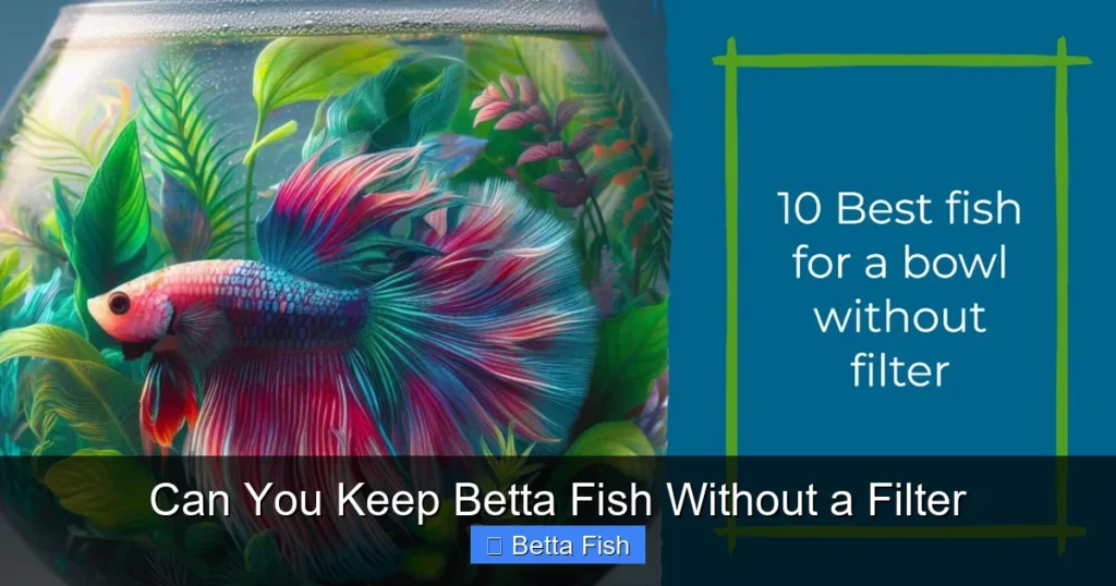 Can You Keep Betta Fish Without a Filter