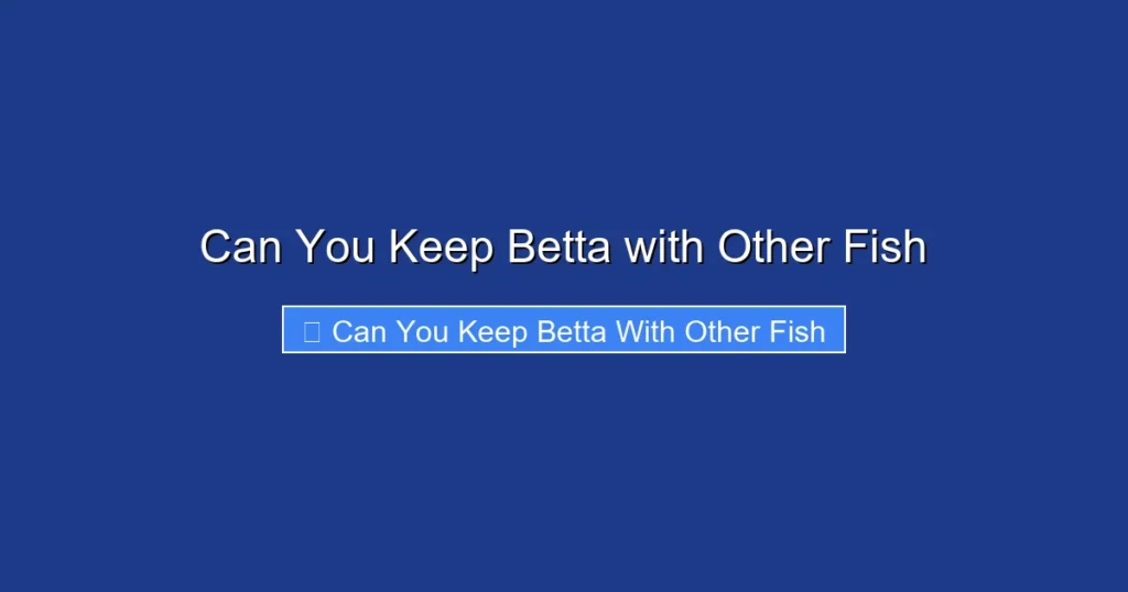Can You Keep Betta with Other Fish