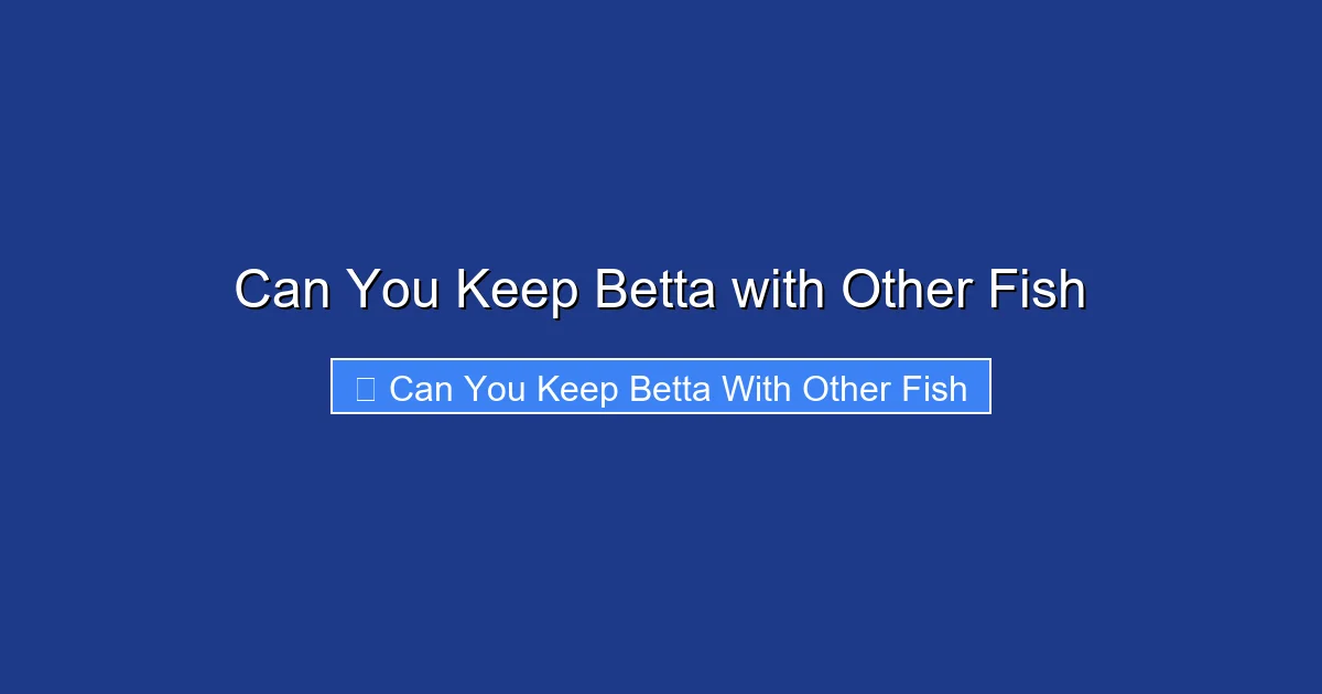 Can You Keep Betta with Other Fish