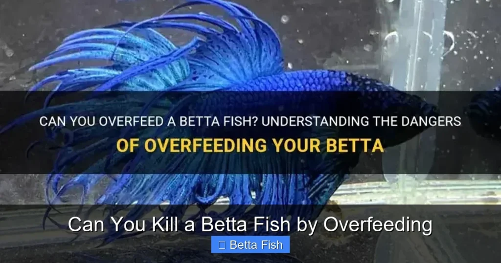 Can You Kill a Betta Fish by Overfeeding
