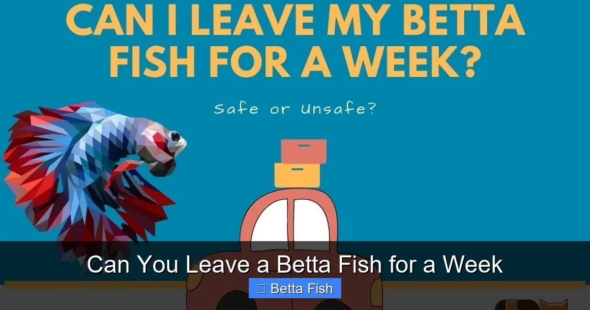 Can You Leave a Betta Fish for a Week