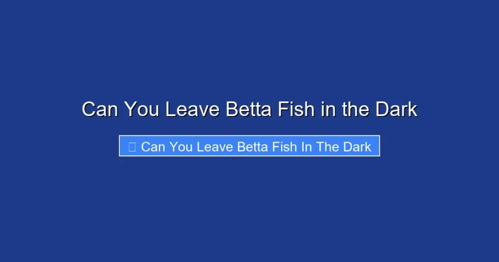 Can You Leave Betta Fish in the Dark