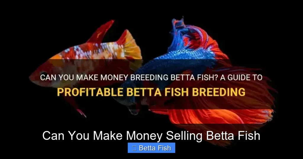 Can You Make Money Selling Betta Fish