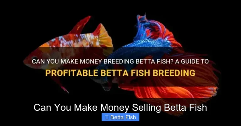 Can You Make Money Selling Betta Fish